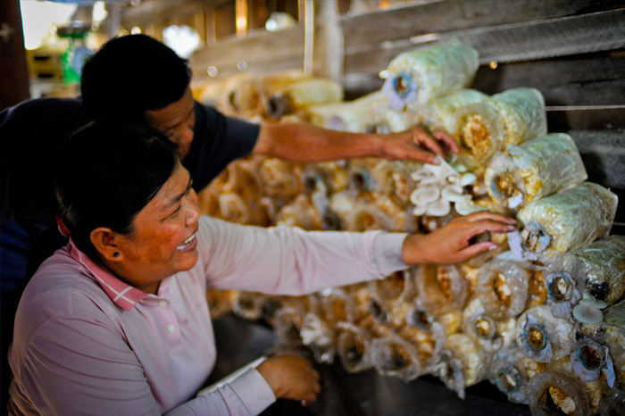 http://www.adb.org/news/photo-essays/moving-better-lives-cambodia