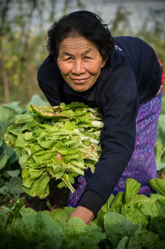 ADB Flickr