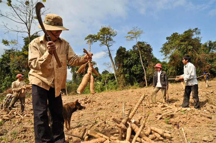 http://www.adb.org/news/photo-essays/viet-nams-east-west-corridor-road-no-9