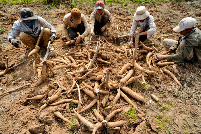 http://www.adb.org/news/photo-essays/viet-nams-east-west-corridor-road-no-9