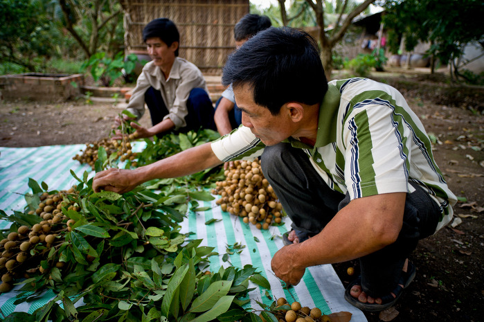 ADB Flickr