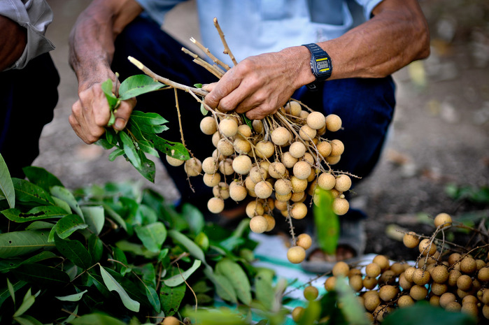 ADB Flickr