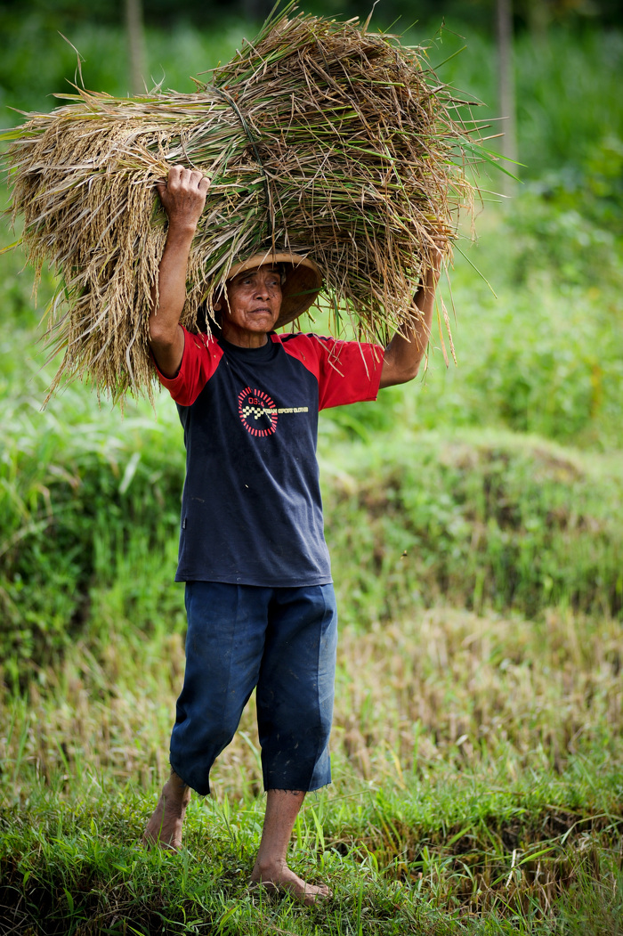 ADB Flickr