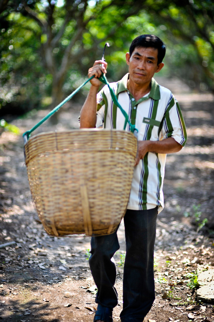 ADB Flickr