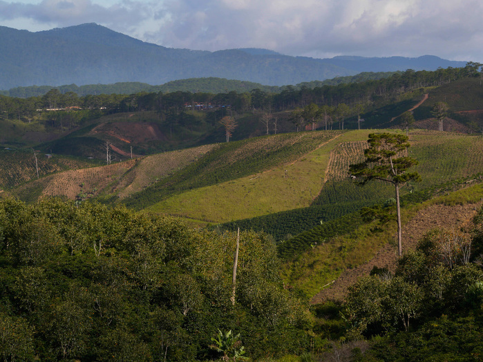 The sustainably managed biodiversity corridors in Cambodia, the Lao PDR, and Viet Nam. ADB Flickr