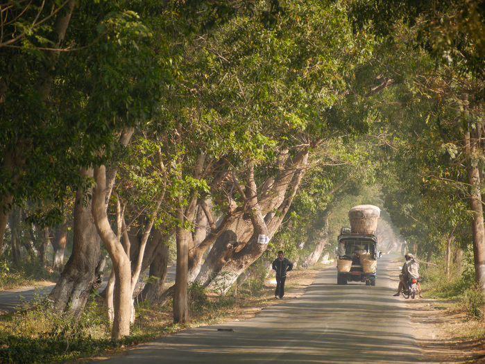 Picturesque tree-lined roads lead from Nyaung Shwe to neighboring communities around Inle Lake. This area is one of Myanmar's most popular tourist attractions. ADB Flickr
