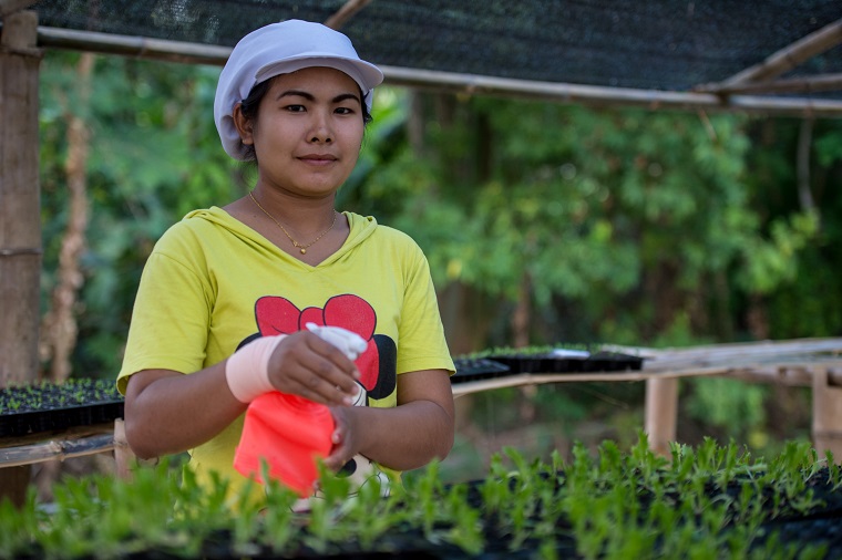 Helping Farmers Go Organic in Thailand Helping Farmers Go Organic in Thailand